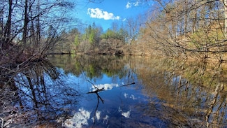 51+ acre Mountain Cove Way, Cherry Log, GA 30522