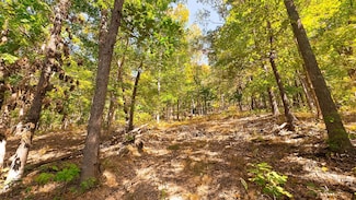 16932 State Route 335, Beaver, OH 45613