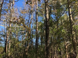 0 Lollie Magee Rd, Tylertown, MS 39667