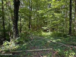 0 Bates Gibson Rd, Sevierville, TN 37876