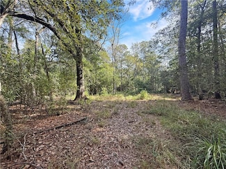 Lot 2 S Strain Rd, Mandeville, LA 70471