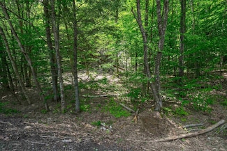 0 Vermont Route 100, Plymouth, VT 05056