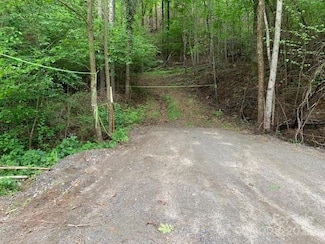 42.16 ACS Green River Cove Rd Unit 42.162 AC., Saluda, NC 28726