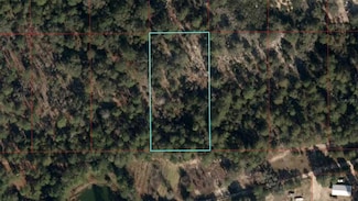 TBD NE 95 St, Bronson, FL 32621