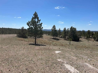 TBD Winchester Rd, Custer, SD 57730