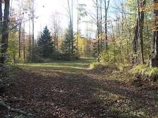 N4835 Burma Rd, Harding, WI 54452