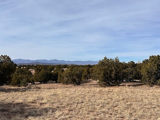 16 W Camino Del Cielo, Santa Fe, NM 87506