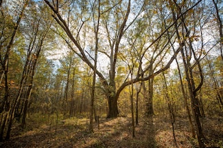 0 Mississippi 389, Pheba, MS 39755