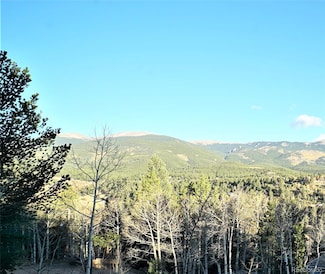 310 Wise Rd, Bailey, CO 80421