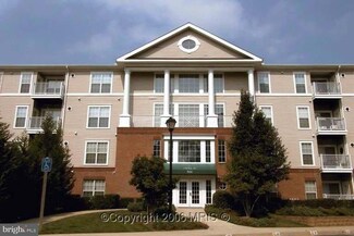 7000 Falls Reach Dr Unit 211, Falls Church, VA 22043