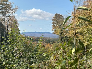 0 Brookview Ln Unit 5049092, Wolcott, VT 05680