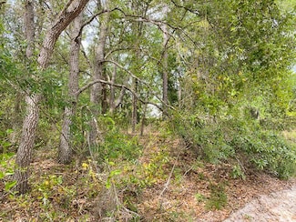 0 NE 67th St Unit 794979, Bronson, FL 32621