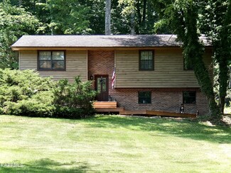 9833 McElhaney Ln, Corryton, TN 37721