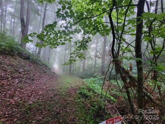 2100 Chambers Mountain Rd, Clyde, NC 28721
