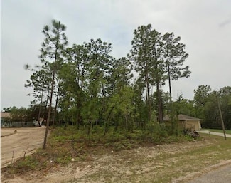 1526 W Gainsboro Ln, Citrus Springs, FL 34434