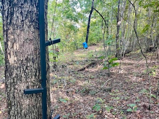 000 Watson Rd, Clinton, AR 72031