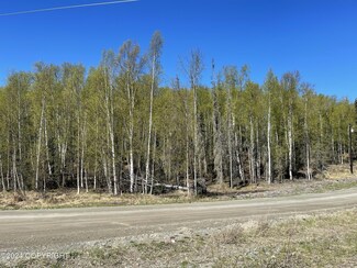 6266 S Knik Knack Mud Shack Cir, Knik-Fairview, AK 99654