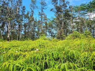 0 Kehau Rd Unit 722500, Pahoa, HI 96778