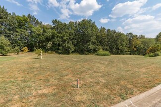 1176 Springbrook Park Dr, Farmington, MO 63640