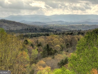 LOT 51 Laurel Ridge Unit 51, Morganton, GA 30560