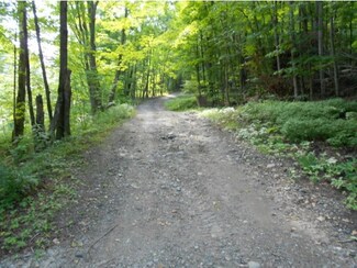 75 Downs Rd, Underhill, VT 05489