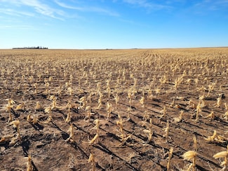 0 Road 33 W, Bushnell, NE 69128