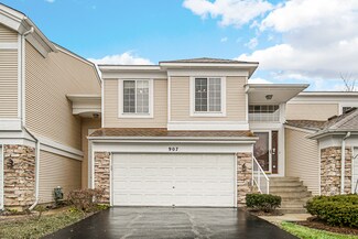 907 Carlsbad Ct Unit 513B, Elgin, IL 60123