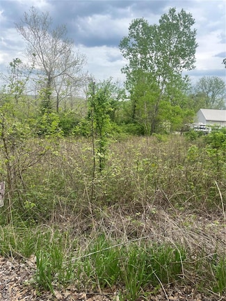 784 Sunset Maple Dr, Gray Summit, MO 63039