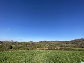 6555 Highway 174 Unit Tract 6, Springville, AL 35146