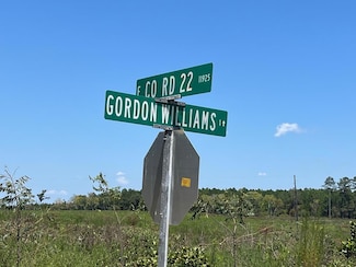 Lot  #1 County Road 22, Columbia, AL 36319