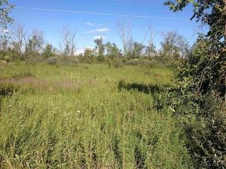 7000 Springville Hwy, Onsted, MI 49265