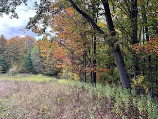 1.10 Wart Rd Unit 10, Orwell, NY 13426