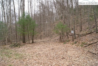 Lot 67 Laurel Mountain Dr, Sparta, NC 28675