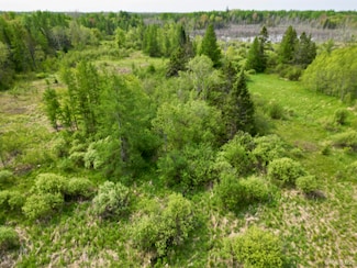 TBD N 38th Rd "West 20" Rd, Rock, MI 49880
