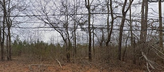 1765 High Falls Rd, Griffin, GA 30223