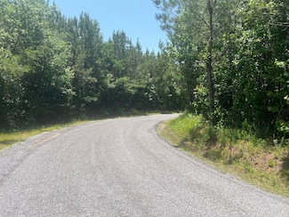 2291 Springhill Church Rd, Shubuta, MS 39360