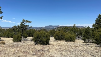 Wagon Trail, Datil, NM 87821