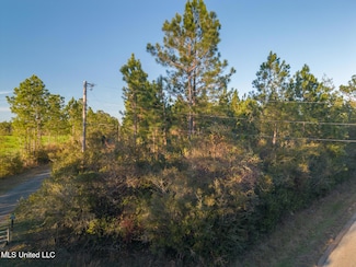 00 Cemetery Rd, Saucier, MS 39574