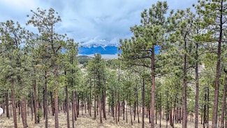 Lot 43 S Ben Eaton, Westcliffe, CO 81252