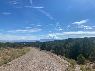 18961 Elk Reserve Rd, Glade Park, CO 81523