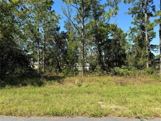Lot 31 SW 133rd Street Rd, Ocala, FL 34473
