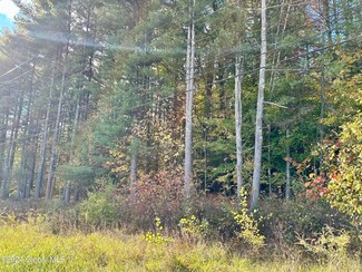 L 39.13 State Highway 9n, Corinth, NY 12822