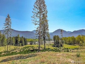 0 Craig Rd Unit Lot A1 NWM2382755, Packwood, WA 98361