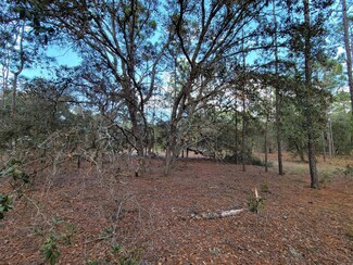 000 SE 129th Ct, Rainbow Lakes Estates, FL 34431