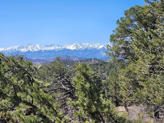 TBD L Path, Cotopaxi, CO 81223