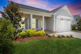 91 Bunting Ln, Watersound, FL 32461