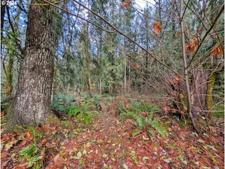 67197 E Barlow Trail Rd, Zigzag, OR 97049