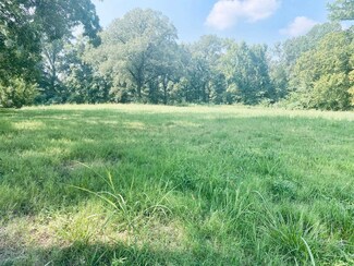 1163 W Raines Rd, Memphis, TN 38109