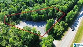 0 Old Highway 280, Sylacauga, AL 35150
