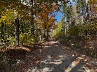 P/O M2 L7 Thompson Rd, Harmony, ME 04942